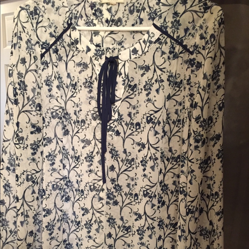Pleione sheer peasant blouse, great for summer dressy casual occasions
